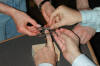 Nagelbalance